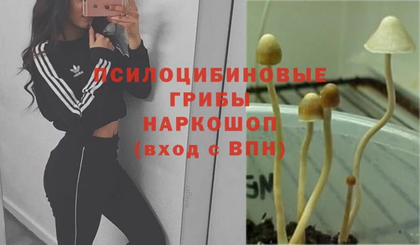 героин Куйбышев