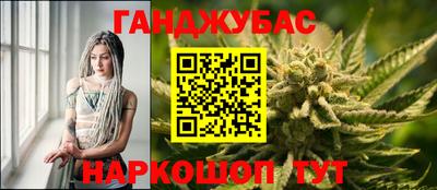 дмт Бийск