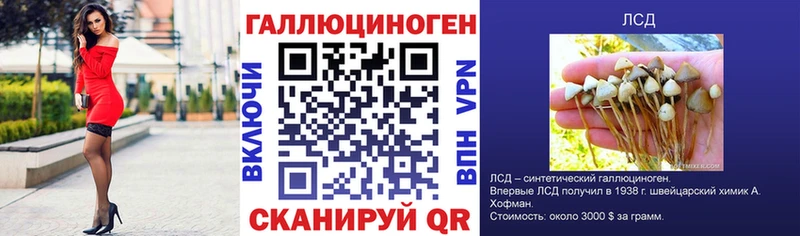 продажа наркотиков MEGA ссылки Галлюциногенные грибы MAGIC MUSHROOMS Брянск